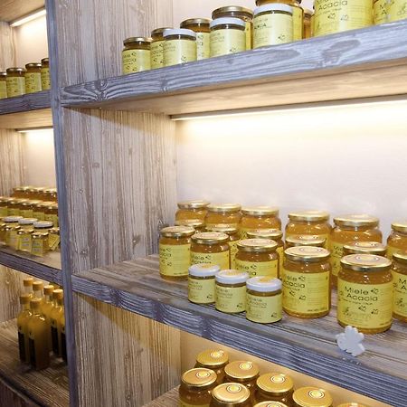 Agriturismo Due Comuni San Gervasio エクステリア 写真