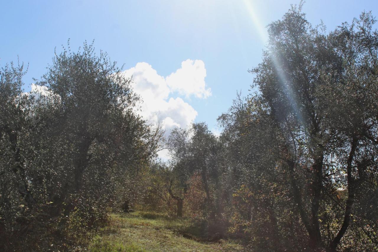 Agriturismo Due Comuni San Gervasio エクステリア 写真